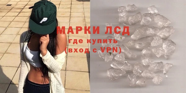 apvp Алзамай