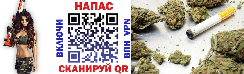 дарнет шоп  блэк спрут как зайти  Конопля тримм  Андреаполь 